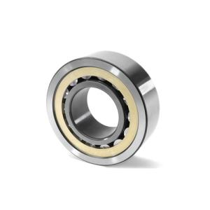 Differential Pinion Bearing