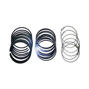 Engine Piston Ring Set for 97-06 Jeep Wrangler TJ 96-01 Cherokee XJ and 96-04 Grand Cherokee ZJ & WJ with 4.0L 6 Cylinder Engine