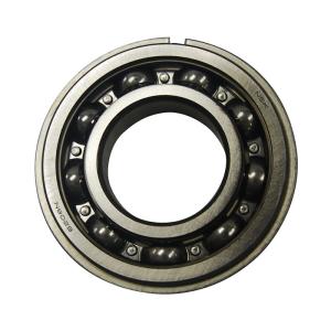 Input Shaft Bearing