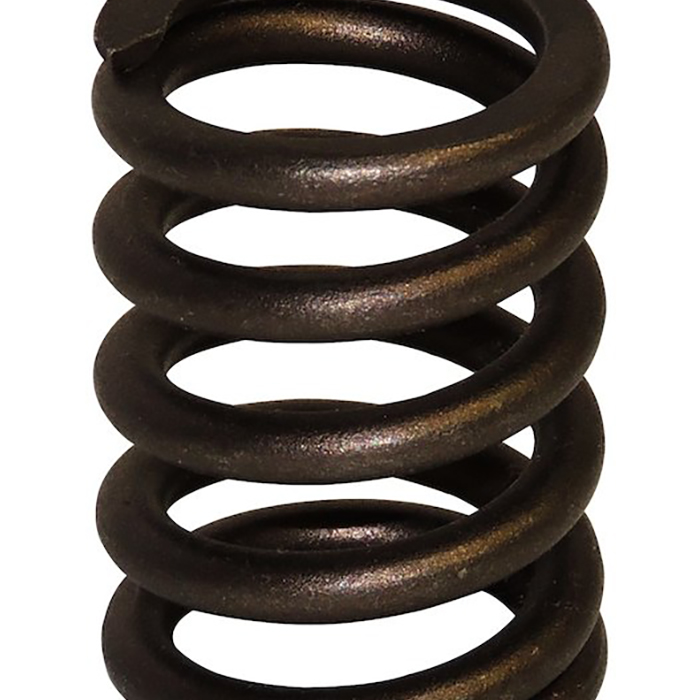 Valve Spring Somar Motor LLC