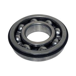 Input Shaft Bearing