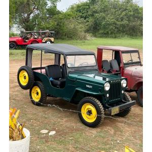 WhatsApp Image 2023-06-15 at 16.28.52a