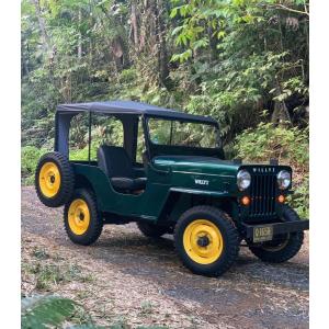 WhatsApp Image 2023-06-15 at 16.28.52aaa