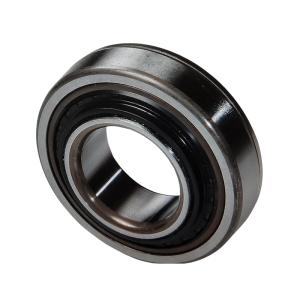 Rear Axle Bearing