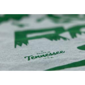 rc_mountains_t-shirt_gray_tn_-_94095_1_3