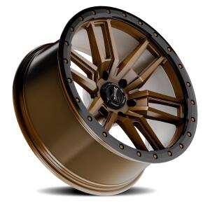 tw411c_bz_bronze_black-lip_6-lug_0002